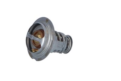 TERMOSTAT LICHID RACIRE NRF 725209 13
