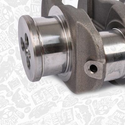 ARBORE COTIT ET ENGINETEAM HK0186 4
