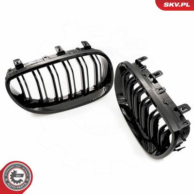 GRILA RADIATOR ESEN SKV 66SKV171 2
