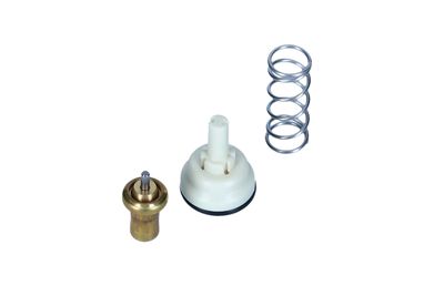 TERMOSTAT LICHID RACIRE NRF 725334 19