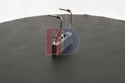 ÖLKüHLER MOTORöL AKS DASIS 066000N 5