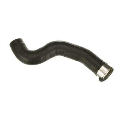 FURTUN EAR SUPRAALIMENTARE GATES 091624 50