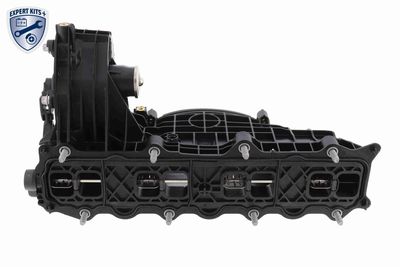 MODUL CONDUCTA ADMISIE VAICO V303720 1