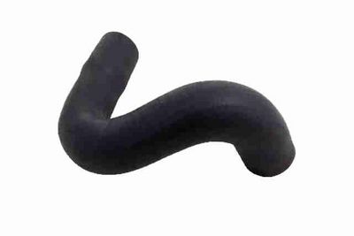 FURTUN EAR SUPRAALIMENTARE