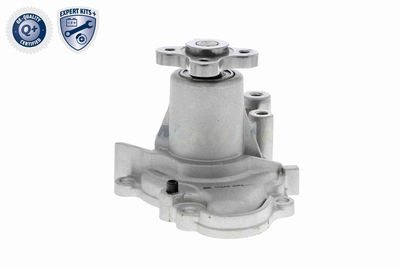 POMPă DE APă RăCIRE MOTOR ACKOJA A520700 8