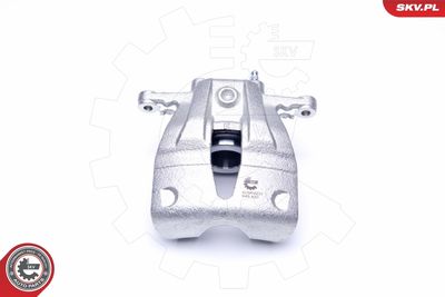 Brake Caliper 42SKV231