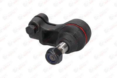 CAP DE BARA BIRTH RD0771 2