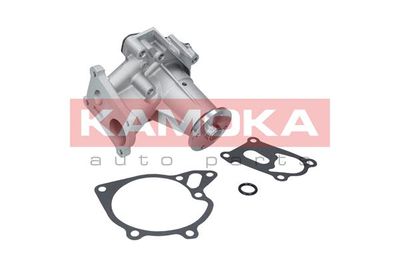 Water Pump, engine cooling T0161