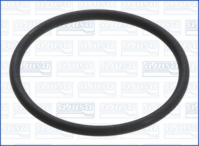 GARNITURA POMPA COMBUSTIBIL