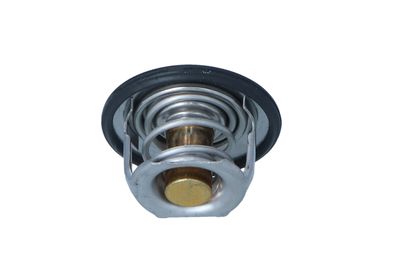 TERMOSTAT LICHID RACIRE NRF 725305 16