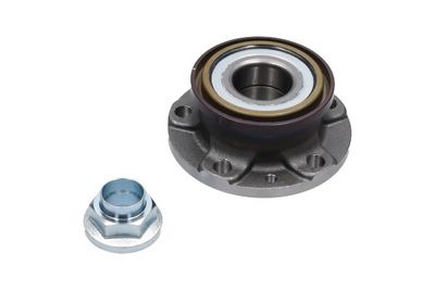 Kavo Parts Rato guolio komplektas