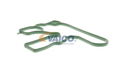 DICHTUNG KURBELGEHäUSEENTLüFTUNG VAICO V103884 18