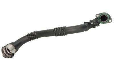 FURTUN EAR SUPRAALIMENTARE