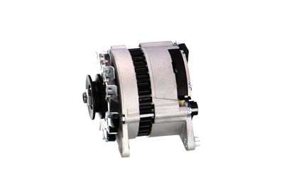 GENERATOR / ALTERNATOR REMANTE 011003000066R 9