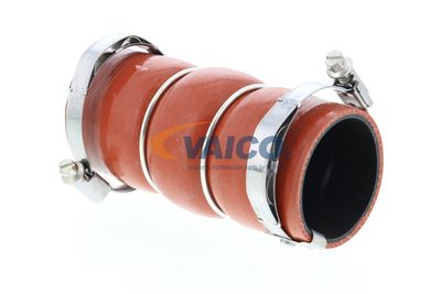 FURTUN EAR SUPRAALIMENTARE VAICO V420583 8