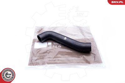 FURTUN EAR SUPRAALIMENTARE