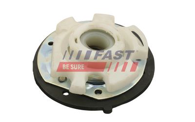 BUCSA ARBORE DE DIRECTIE