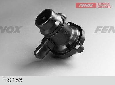 термостат, охладителна течност FENOX TS183