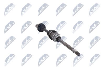 PLANETARA NTY NPWFT051 31