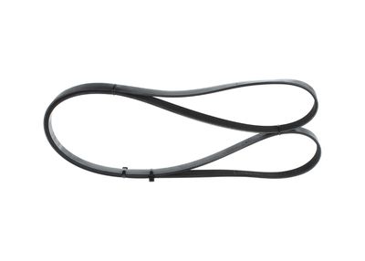 BOSCH Keilrippenriemen