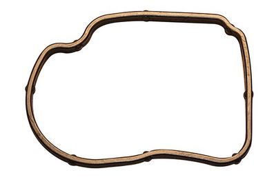 GARNITURA CARCASA TERMOSTAT