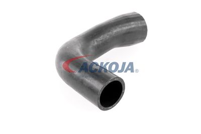 FURTUN EAR SUPRAALIMENTARE ACKOJA A389600 49