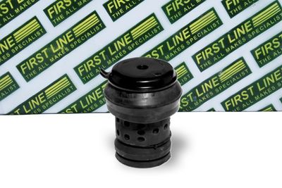 окачване, двигател FIRST LINE FEM3115