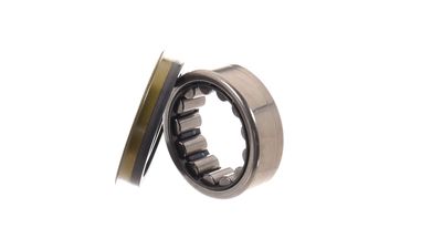 SET RULMENT ROATA SKF VKBA6681 14