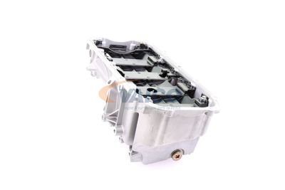 BAIE ULEI VAICO V240673 46