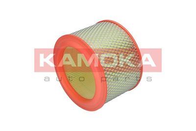 Air Filter F206301