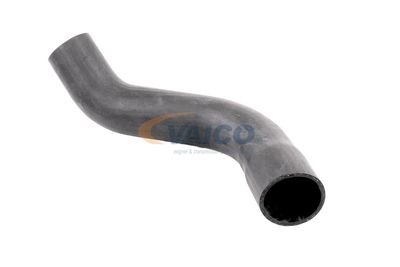 FURTUN EAR SUPRAALIMENTARE VAICO V420621 16