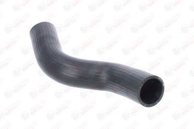 FURTUN EAR SUPRAALIMENTARE BIRTH 55766 9