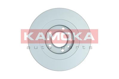 Brake Disc 103538