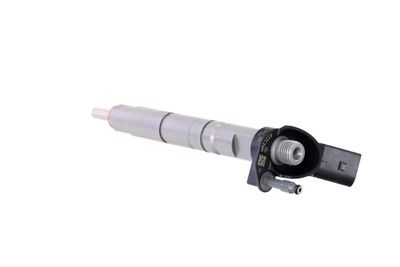 INJECTOR REMANTE 002003001124R 19