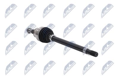 PLANETARA NTY NPWCH154 12