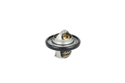 TERMOSTAT LICHID RACIRE NRF 725544 14