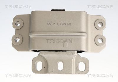 окачване, двигател TRISCAN 8505 29191