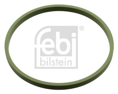 DICHTUNG ANSAUGKRüMMER FEBI BILSTEIN 107960 0