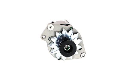 GENERATOR / ALTERNATOR REMANTE 011003000270R 55