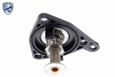 TERMOSTAT LICHID RACIRE ACKOJA A26990012 8