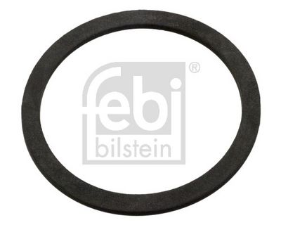 FEBI BILSTEIN Dichtring, Verschlussdeckel-Ausgleichsbehälter
