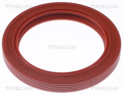 SIMERING ARBORE COTIT TRISCAN 855010073 1