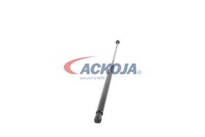 AMORTIZOR PORTBAGAJ ACKOJA A380075 50