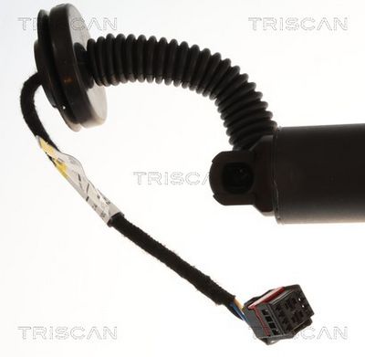 AMORTIZOR PORTBAGAJ TRISCAN 871027316 3