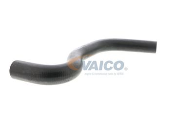 KüHLERSCHLAUCH VAICO V420640 54