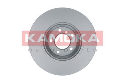 Brake Disc 103246