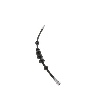 FURTUN FRANA CORTECO 19036354 67