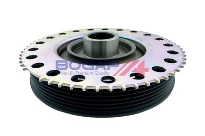 FULIE CUREA ARBORE COTIT