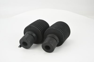 CHIT PROTECTIE PRAF AMORTIZOR FEBEST RNSHBFLUFKIT 18