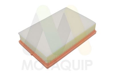 FILTRU AER MOTAQUIP LVFA1766